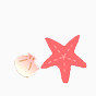 粉红海星