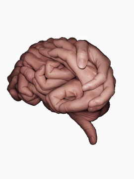 由手组成的大脑