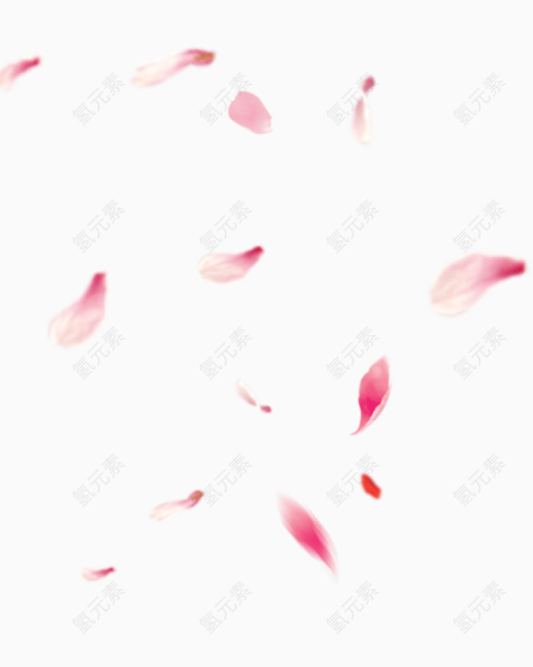 漂浮的樱花花瓣