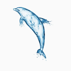 合成水海豚