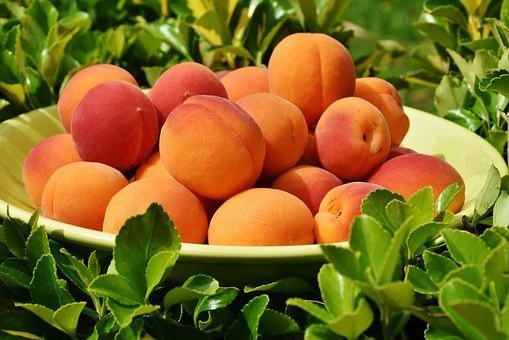 杏,水果,甜,健康,美味,吃,食品,桃子,市场,农业,维生素,新鲜,收