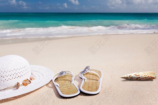 海滩,沙,海,沙滩,假期,加勒比,海岸,夏季,松果菊,翻转翻牌,外壳,