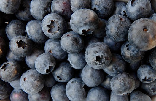 蓝莓,食品,水果,浆果,健康,蓝色,许多,免費的照片,免费图片
