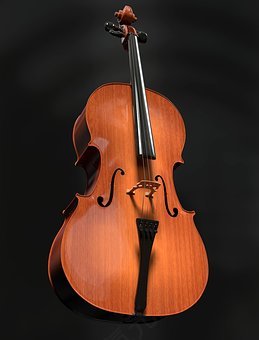 大提琴,字符串,弦乐器,木,仪器,古典音乐,乐器,布朗,经典,soun