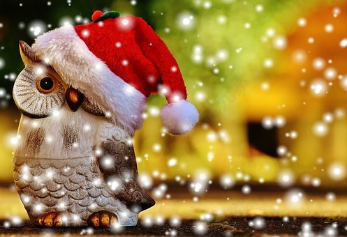 圣诞节,猫头鹰,圣诞老人的帽子,雪,沉思,数字,装饰,可爱,冬天,来临
