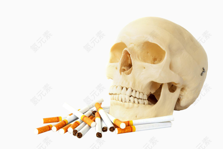 香烟与骷髅