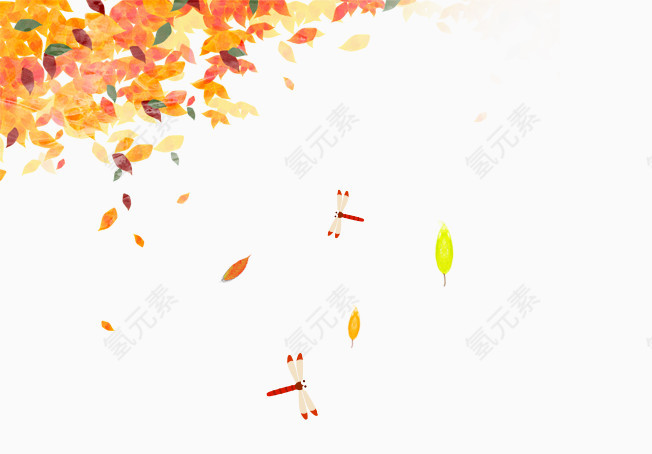 秋季树叶蜻蜓