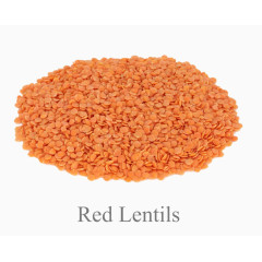 红色扁豆