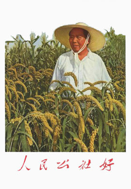 毛泽东在人民公社稻田