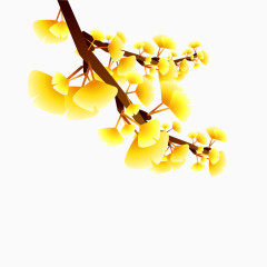金色的枫叶开放