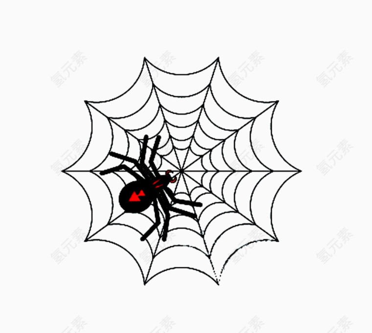蜘蛛网与大蜘蛛
