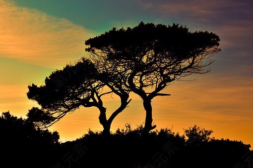 塞浦路斯,卡沃 greko,国家公园,树,日落,自然,夕阳的颜色,调色
