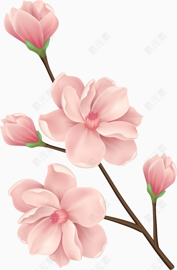 卡通手绘一枝粉红鲜花