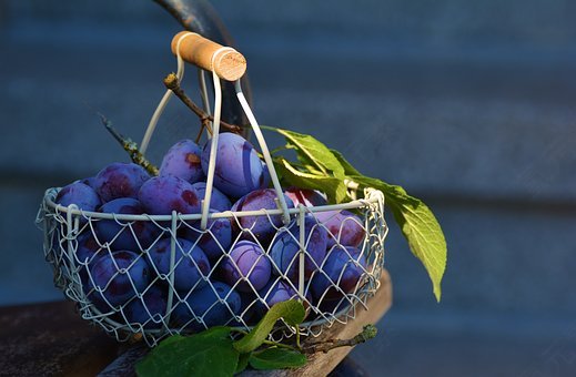 李子,水果,水果篮,蓝色,紫,梅,免費的照片,免费图片