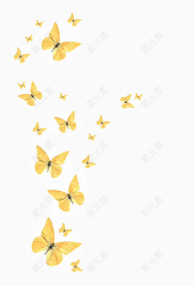 黄色飞舞的蝴蝶