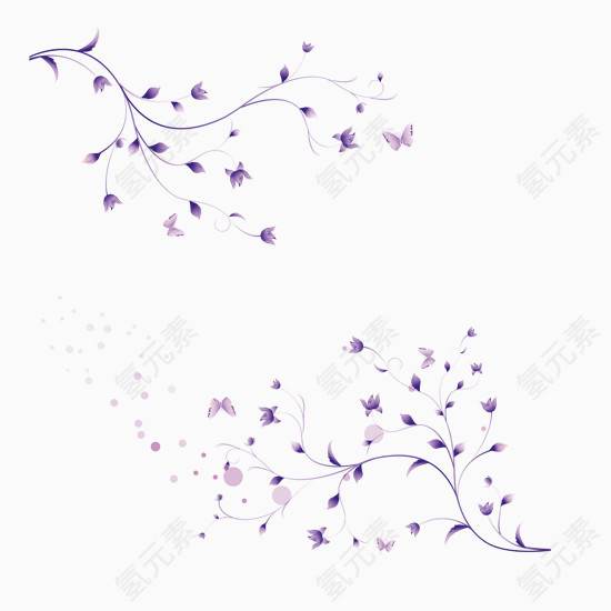 紫色花藤条