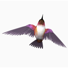 紫蓝翡翠鸟免抠png素材