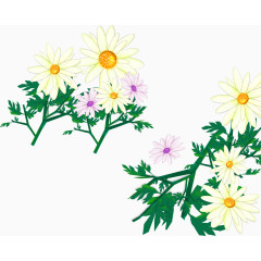 鼠绘花朵植物
