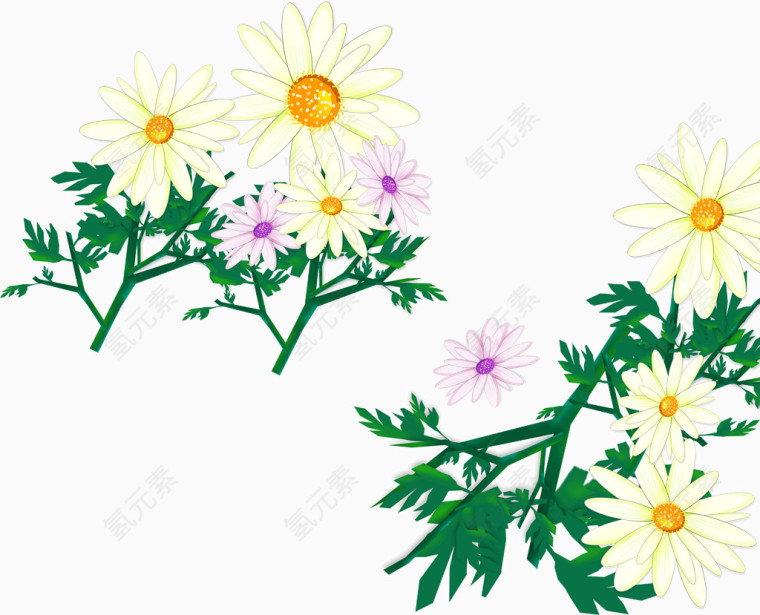 鼠绘花朵植物