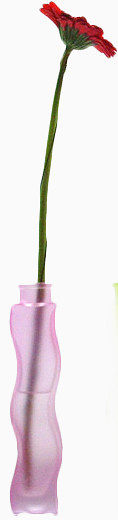 浅紫色塑料花瓶红花