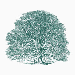 卡通手绘绿色线条绘画树木