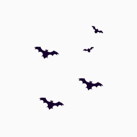 卡通黑色蝙蝠飞翔恐怖的蝙蝠一群蝙蝠下载