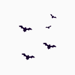 卡通黑色蝙蝠飞翔恐怖的蝙蝠一群蝙蝠