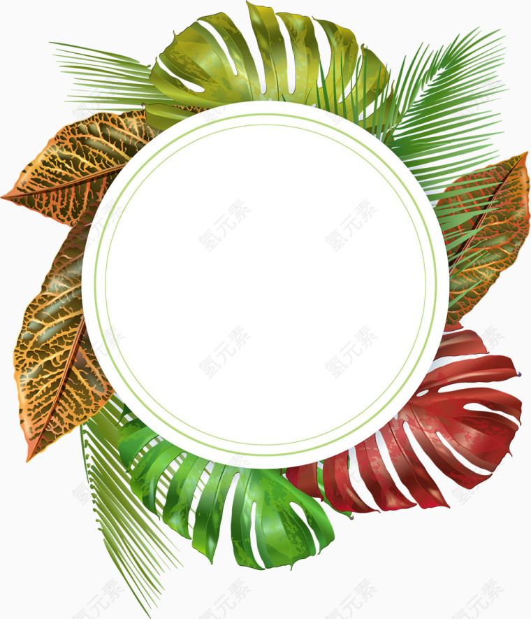 热带植物叶子边框装饰元素