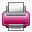 print icon