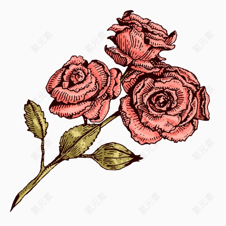 卡通复古水彩玫瑰花