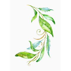 手绘插画水彩树叶元素
