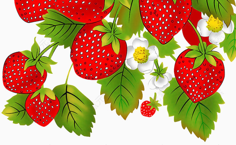 卡通手绘新鲜水果草莓