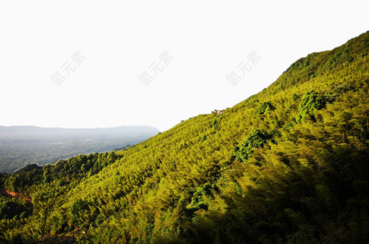 重庆永川茶山竹海风景