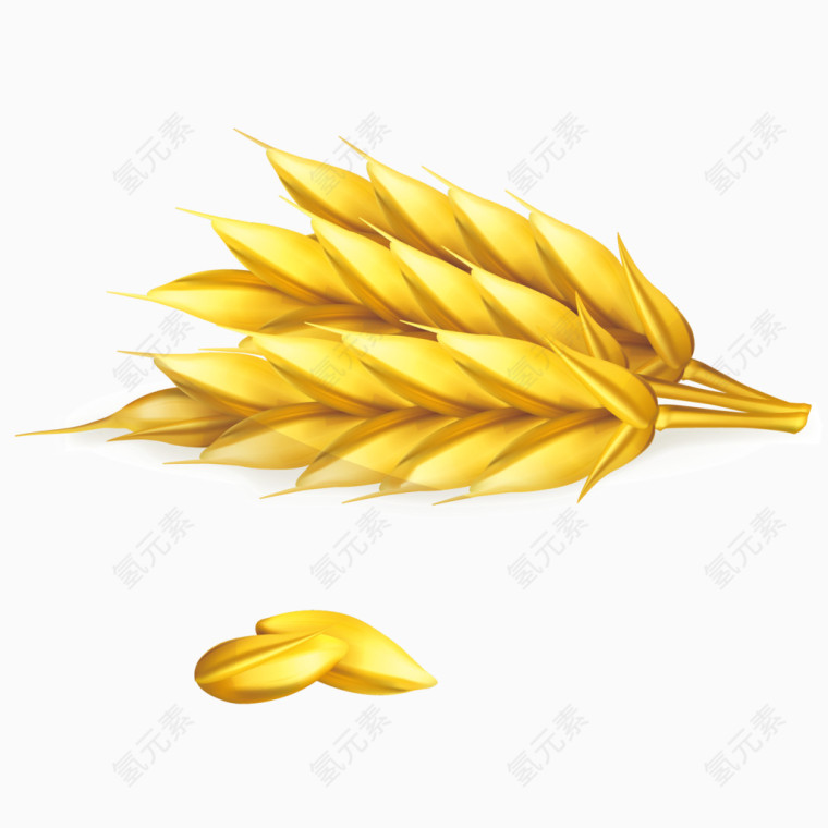 手绘金黄的小麦