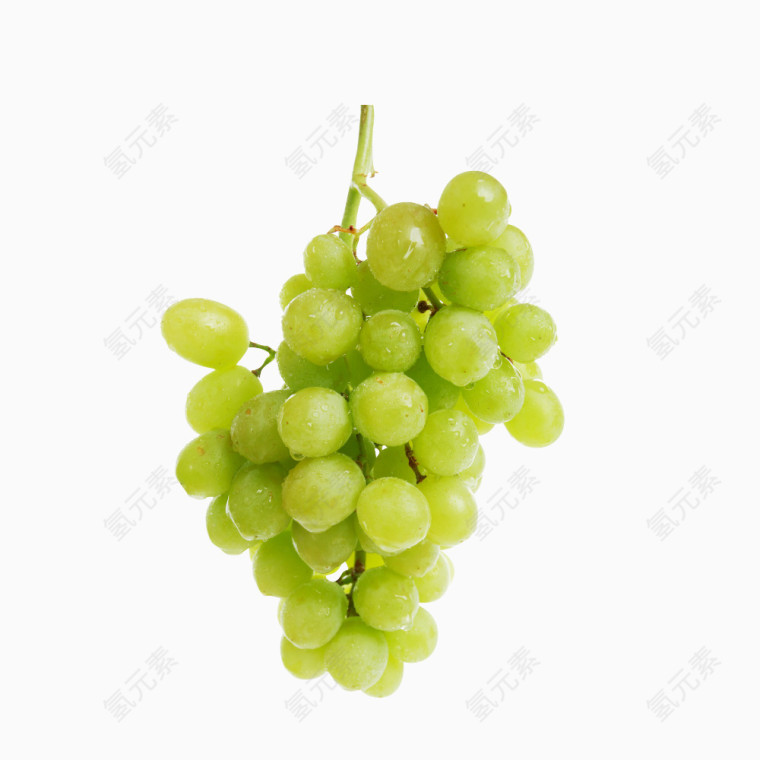 绿色提子葡萄