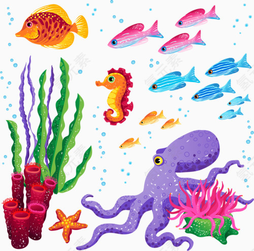 彩色卡通鱼类章鱼