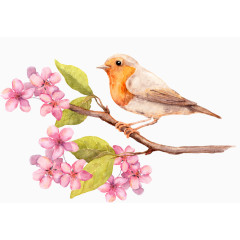 手绘水彩立在梅花上的小鸟