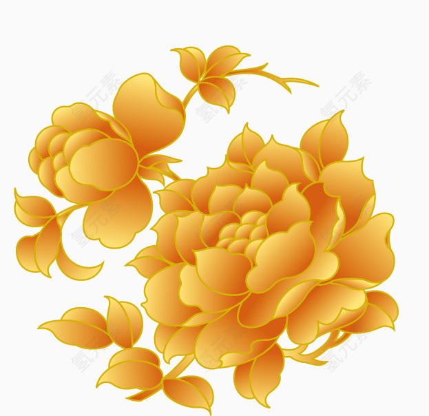 金色菊花