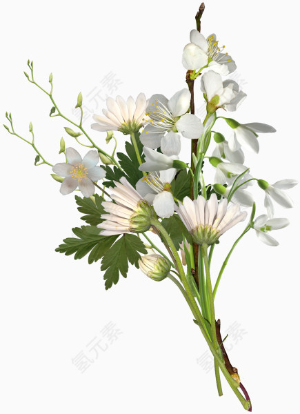 白色花束透明背景图