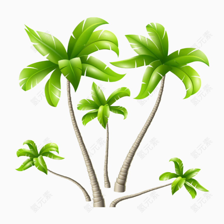椰子树素材