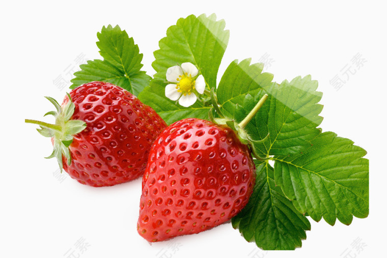 生鲜水果草莓