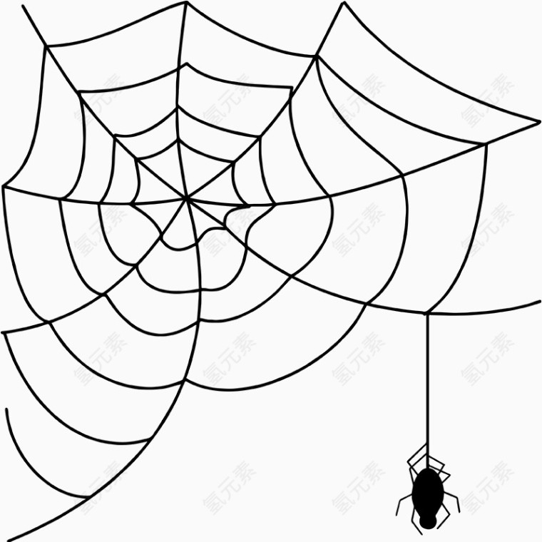 蛛网与蜘蛛