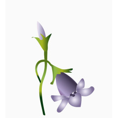 卡通绘制紫色百合花花朵
