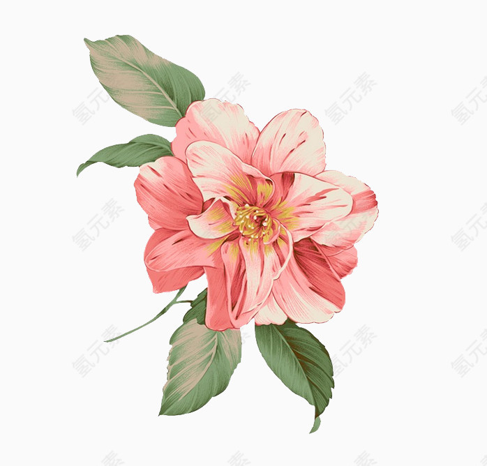 粉红色手绘花插画