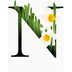 鲜花花纹字母N