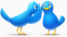 动物鸟鸟推特tweetmyweb