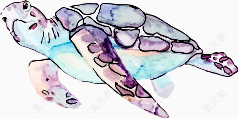 手绘彩色海龟