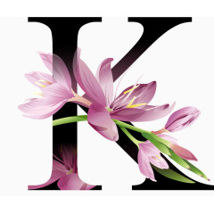 鲜花花纹字母K