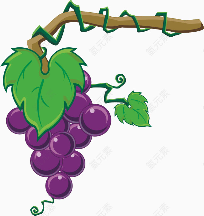 葡萄架上的葡萄