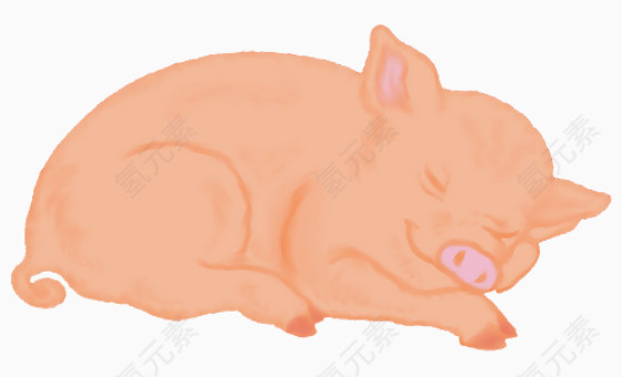 卡通熟睡的猪